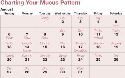 pin on natural family planning calendar method chart birth control