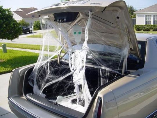 skeleton in the trunk