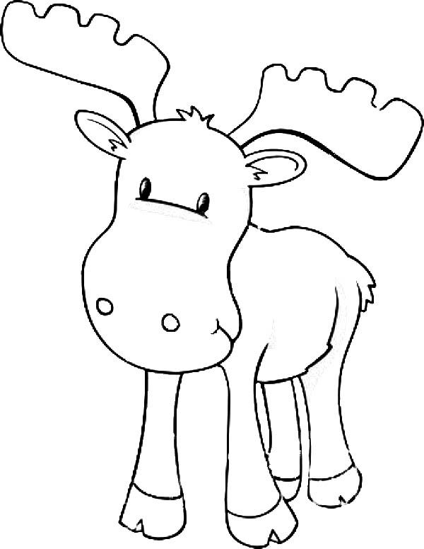 20 Moose Coloring Page Ideas | Coloring Pages, Moose, Coloring Pictures