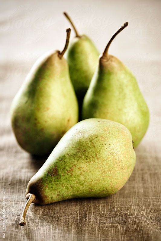 Can Dogs Eat Pears Pear Tree Can Dogs Eat Pears Pear Tree