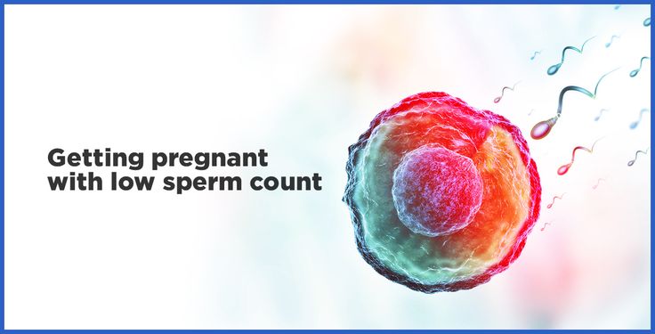 Low Sperm Motility And Getting Pregnant Naturally Low Sperm Motility And Getting Pregnant Naturally