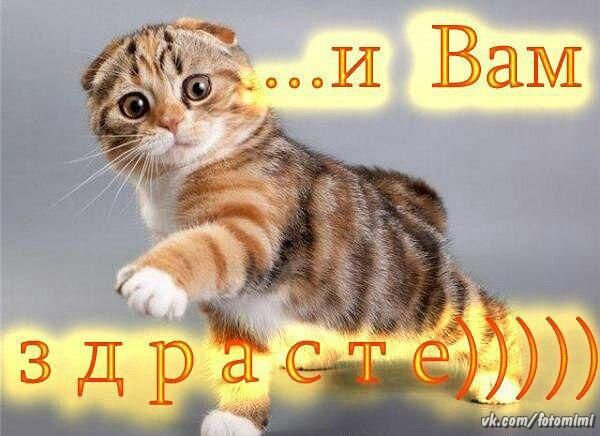 Картинка с надписью здрасьте вам, открытка