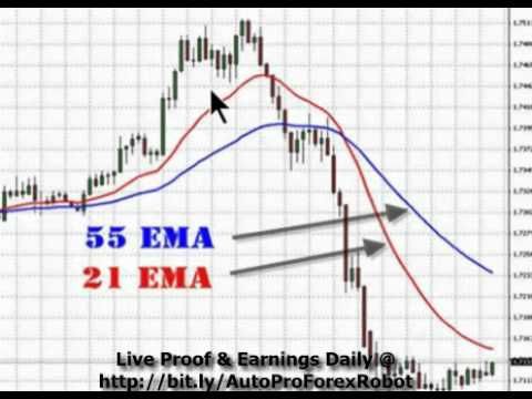 Hidayat khan forex robot