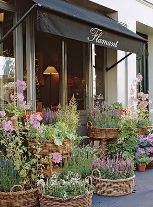 Best 25 Flower shops ideas only on Pinterest | Petals florist ... Best 25 Flower shops ideas only on Pinterest | Petals florist ...