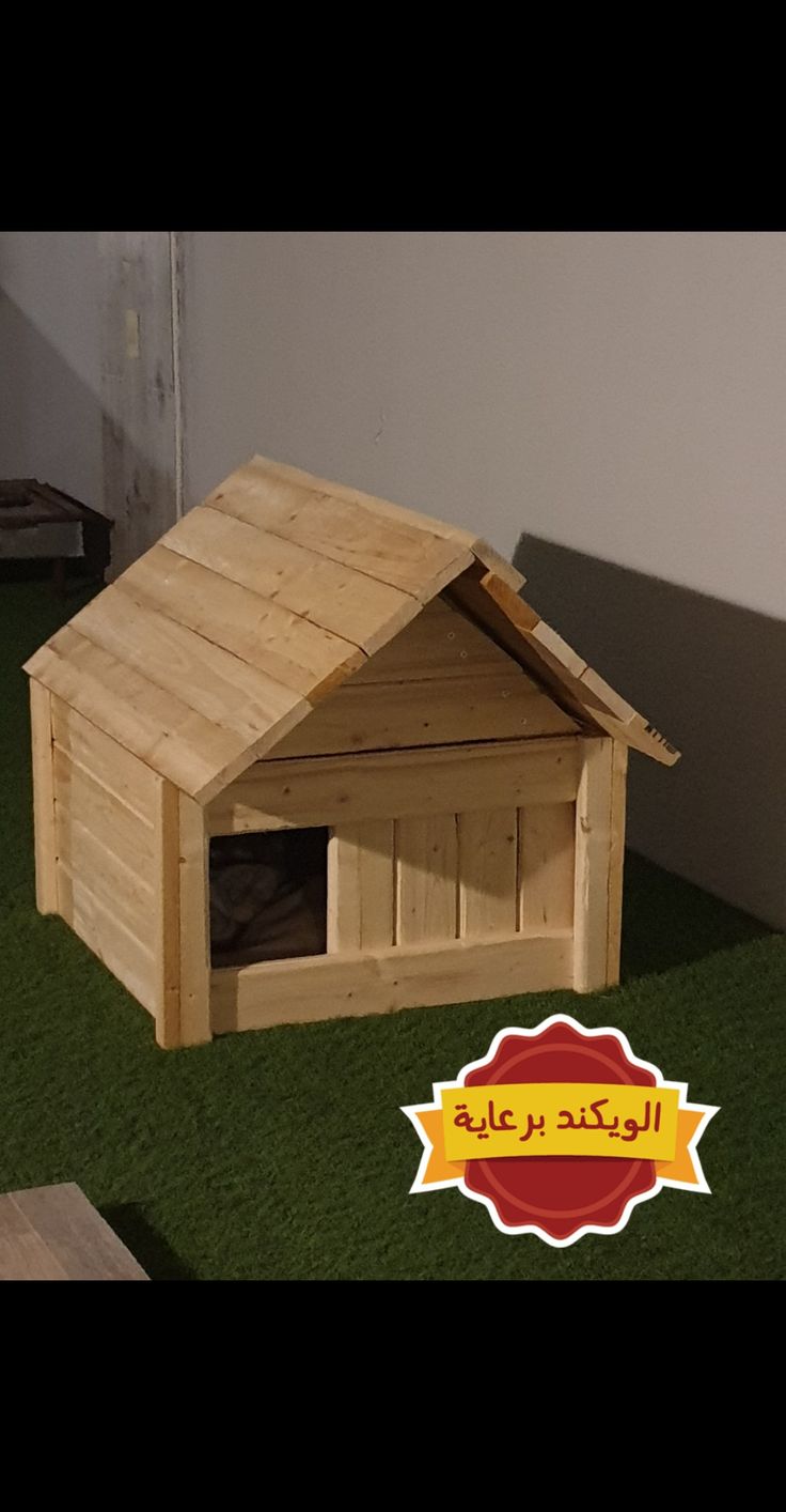 بيت قطط