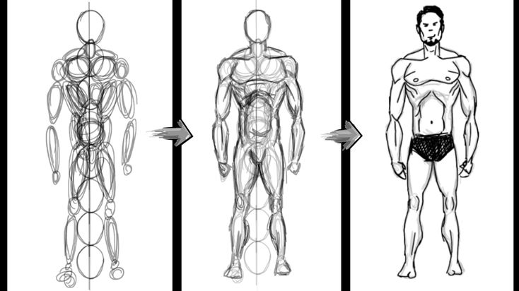 Basic arm and hand anatomy by Sweetagge -- Fur Affinity [dot] net