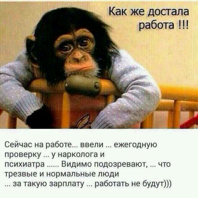 Задолбали отчеты смешные картинки