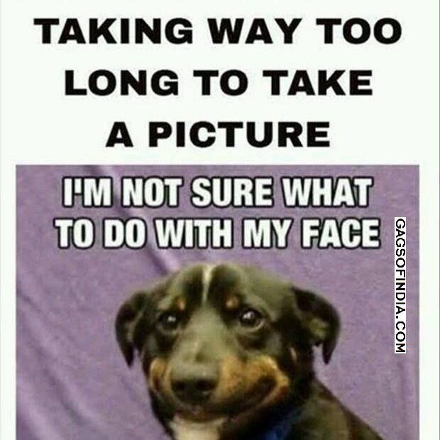 156 best gagsofindia com images on pinterest lol funny, jokes 604ff05fc8e70a2c6447d66f58100e1f lol funny book jacket 156 best gagsofindia com images on pinterest lol funny, jokes,Troll God Meme