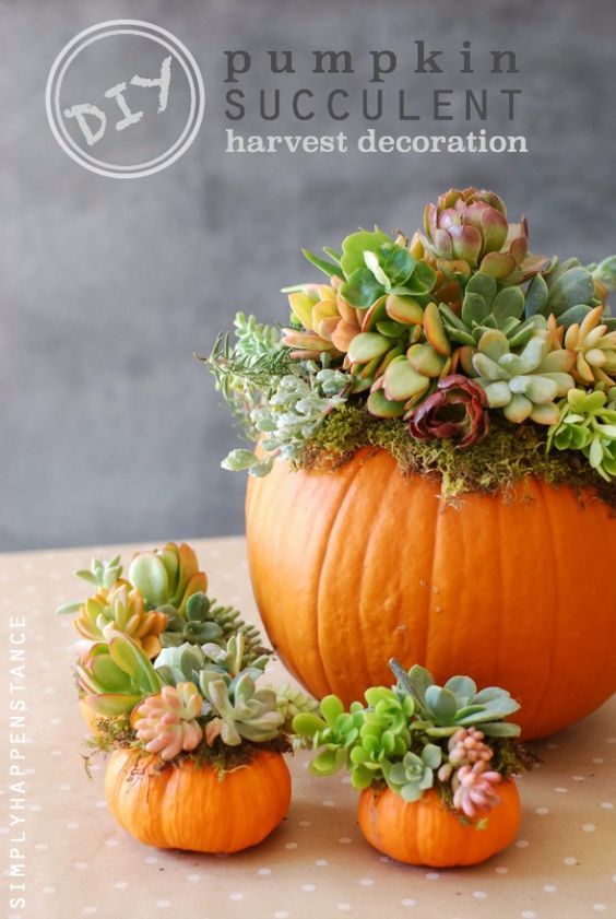 best 20 pumpkin crafts ideas on pinterest pumpkin crafts kids fall pumpkin crafts and halloween crafts for kids - Pumpkin Decorations best 20 pumpkin crafts ideas on pinterest pumpkin crafts kids fall pumpkin crafts and halloween crafts for kids - Pumpkin Decorations