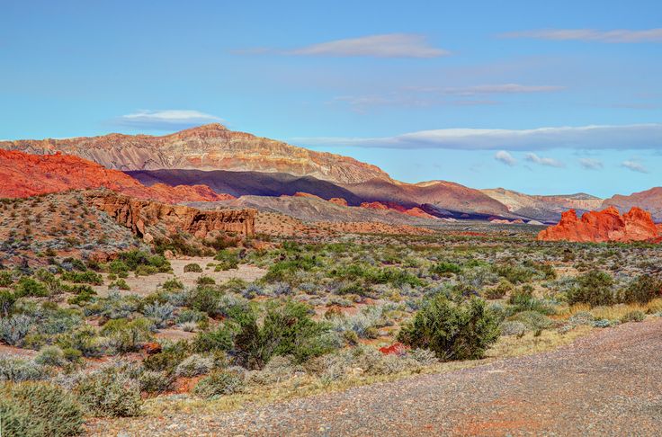 Swingers in moapa valley nevada