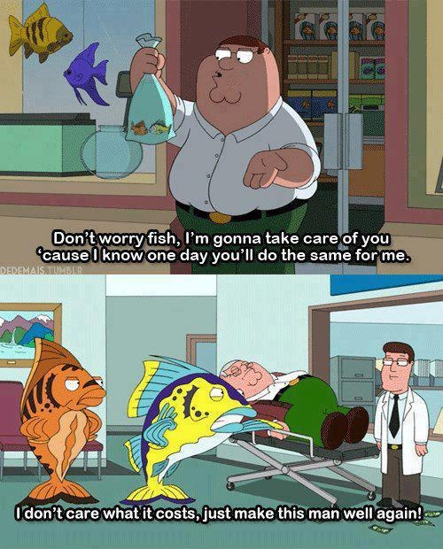 WHY IS THIS TRUE THOUGH LOL | Family Guy | Pinterest | Humour, Memes