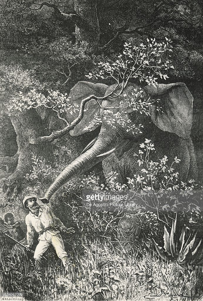 79 best Henry M Stanley and Kalulu images on Pinterest Congo - dr livingstone i presume 79 best Henry M Stanley and Kalulu images on Pinterest Congo - dr livingstone i presume