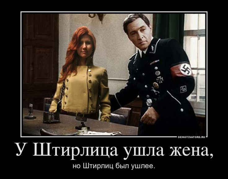 Приколы про штирлица картинки