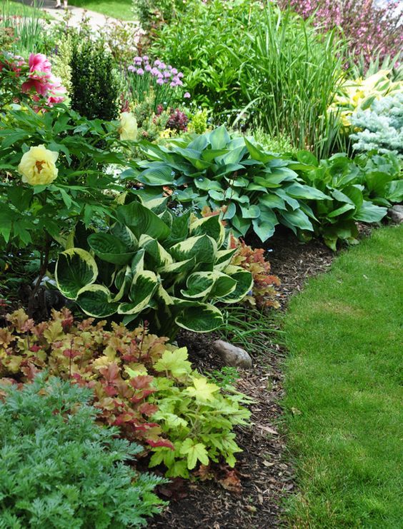 Flower Garden Ideas Shade 298 best shade garden ideas images on pinterest | shade plants Flower Garden Ideas Shade 298 best shade garden ideas images on pinterest | shade plants