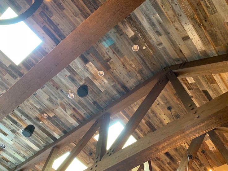 Biergarten at Lagoon Amusement Park Coast redwood, Beer