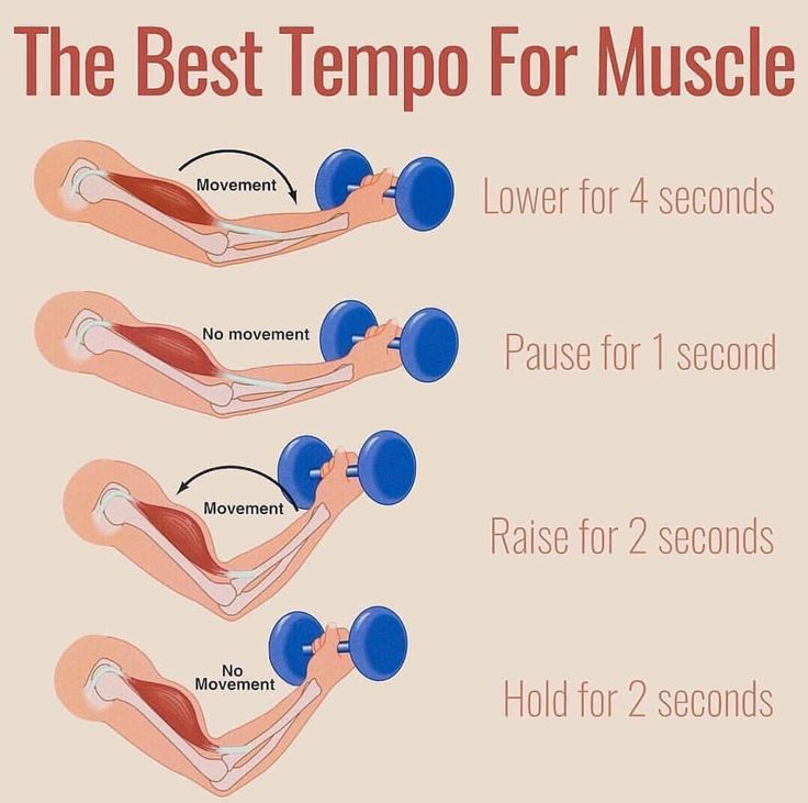 #Muscle #Anatomy #Physiology #Health #Fitness #Training #Muscle