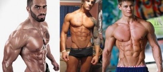 Diet Plan To Shred Fat And Build Muscle Diet Plan To Shred Fat And Build Muscle