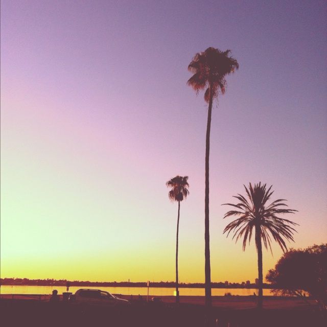 summer vibe