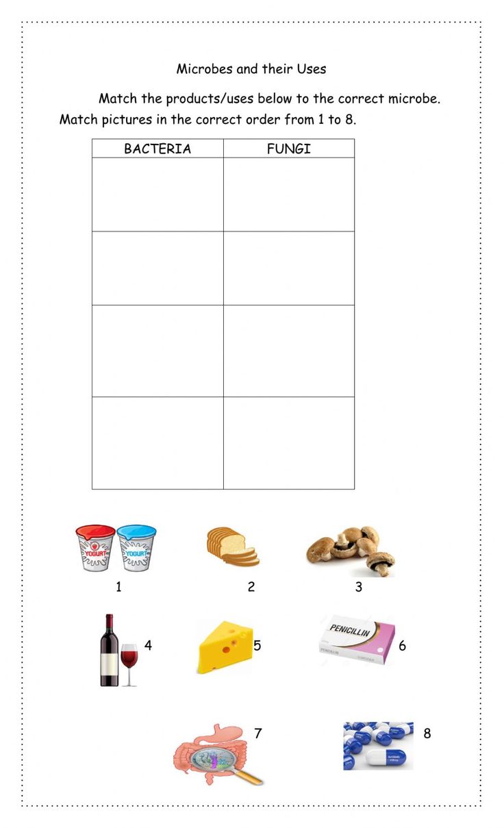 Microbes worksheet | School subjects, Online workouts, Science