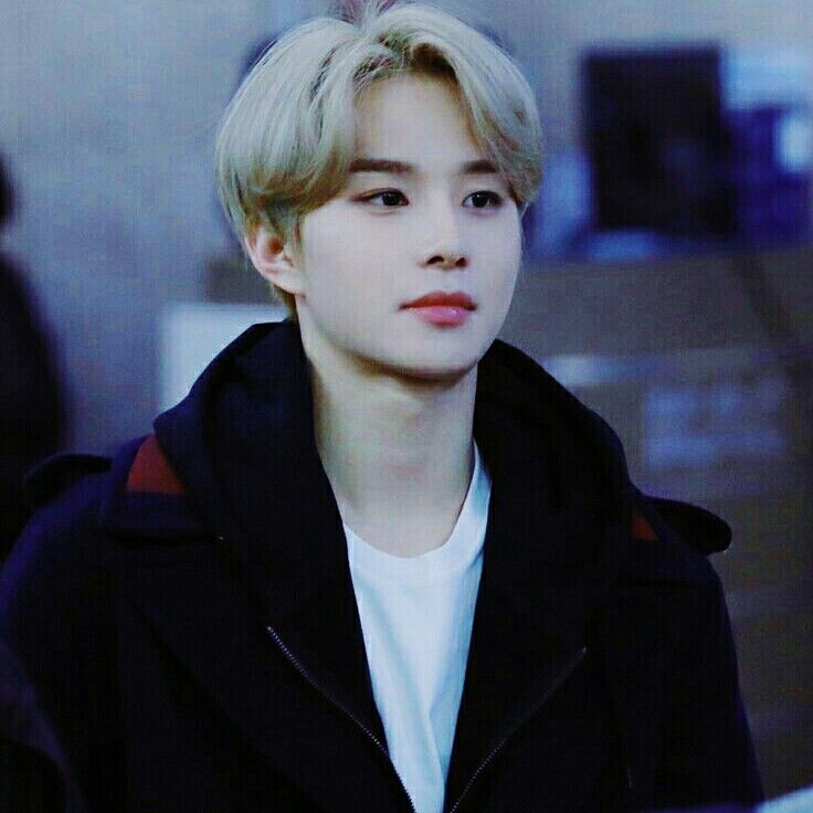 kim jungwoo icon kim jungwoo icon