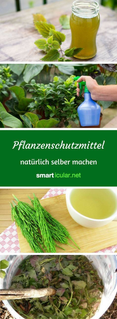 723 best Garten images on Pinterest Backyard ideas, Backyard patio - quellsteine selber bauen 723 best Garten images on Pinterest Backyard ideas, Backyard patio - quellsteine selber bauen