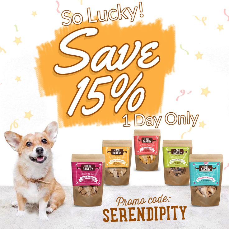 Now you have another reason to treat your dog pals here’s 15 off on Now you have another reason to treat your dog pals here’s 15 off on