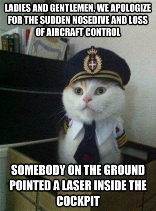 1850 best meme images on pinterest funny stuff, funny memes and 61c5722e6d8c8ad34e2834a2eea7eb47 funny jokes funny pics 1850 best meme images on pinterest funny stuff, funny memes and,Funny Arab Meme Airplane