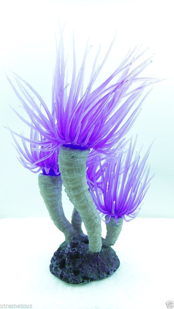 Incendiary Art Poems Triquarterly Books Glofish Reef Tank Incendiary Art Poems Triquarterly Books Glofish Reef Tank Aquarium C