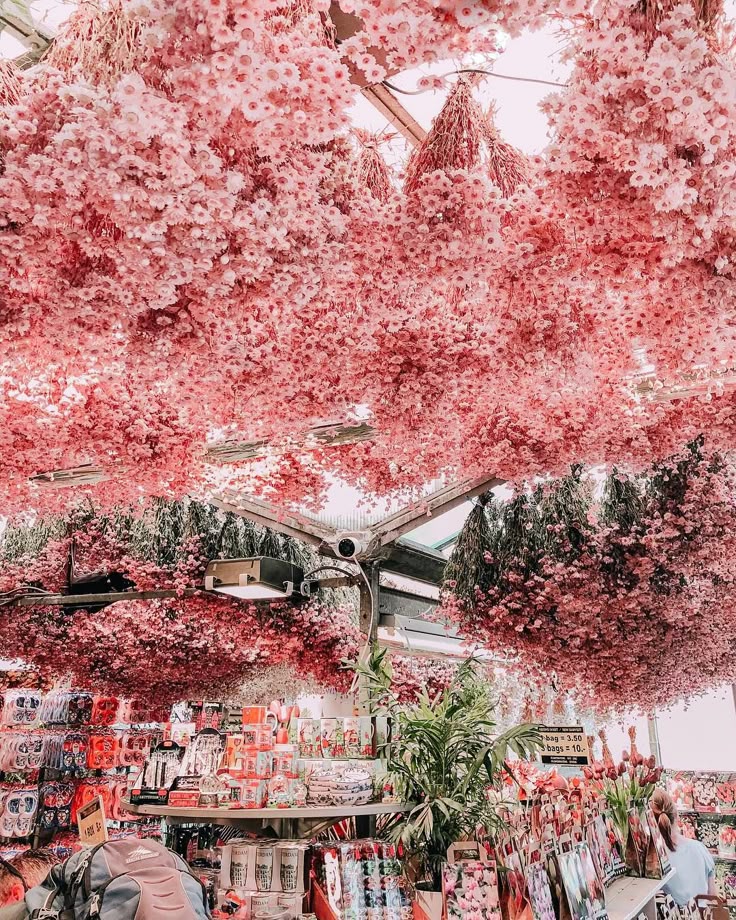 13 Things You Must Do In Amsterdam. Whether it’s your first time in the city or … 13 Things You Must Do In Amsterdam. Whether it’s your first time in the city or …