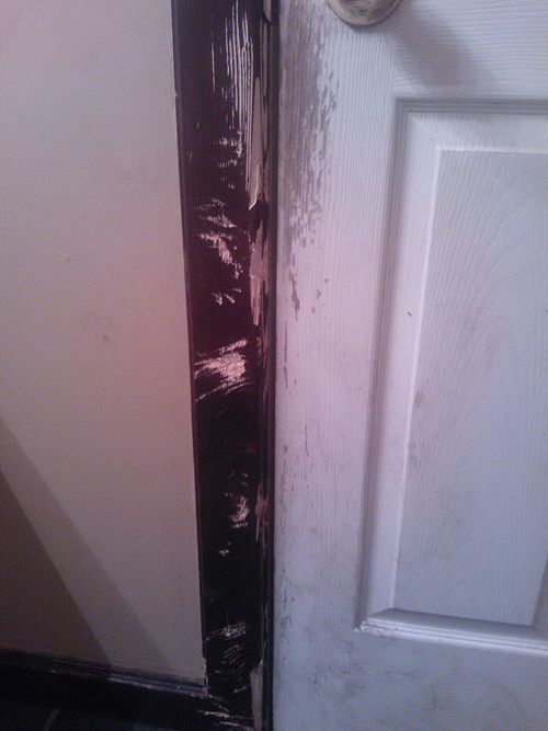 How To Repair a Scratched Door Damaged by a Dog Questions and Answers