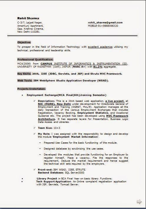 28700 best Brainfood images on Pinterest Cv format, Resume - manual testing sample resumes 28700 best Brainfood images on Pinterest Cv format, Resume - manual testing sample resumes
