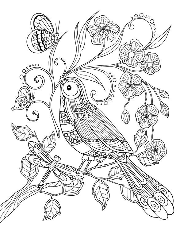 99 best Quilled Animals images on Pinterest Paper quilling - best of coloring pages adults birds 99 best Quilled Animals images on Pinterest Paper quilling - best of coloring pages adults birds