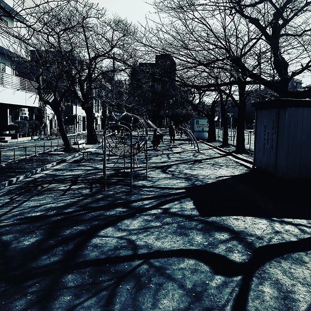 影に侵食されていく公園 影 シルエット トーン 侵食 木立 街路樹 木 公園 アート モノクロ 白黒 フォト 冬 寒い 冷たい クール 広告 編集 デザイン 広告編集 広告デザイン デザイン会社 クリエイター 制作会社 アドクロ Adchro Road 影に侵食されていく公園 影 シルエット トーン 侵食 木立 街路樹 木 公園 アート モノクロ 白黒 フォト 冬 寒い 冷たい クール 広告 編集 デザイン 広告編集 広告デザイン デザイン会社 クリエイター 制作会社 アドクロ Adchro Road