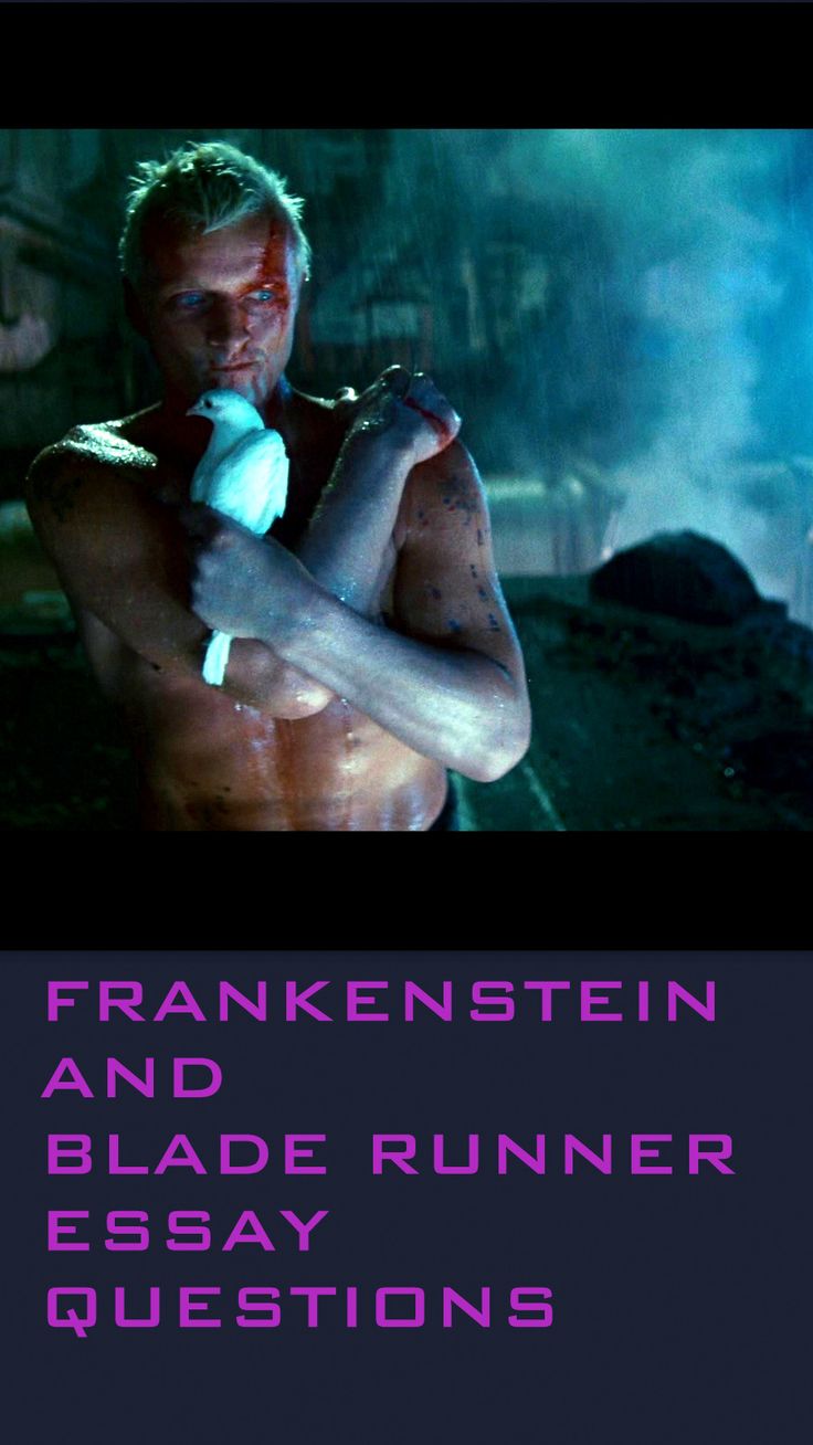 Frankenstein essay questions