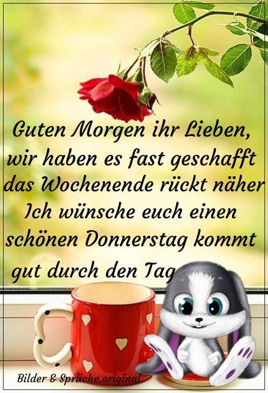 Guten morgen und ein schönes wochenende bilder