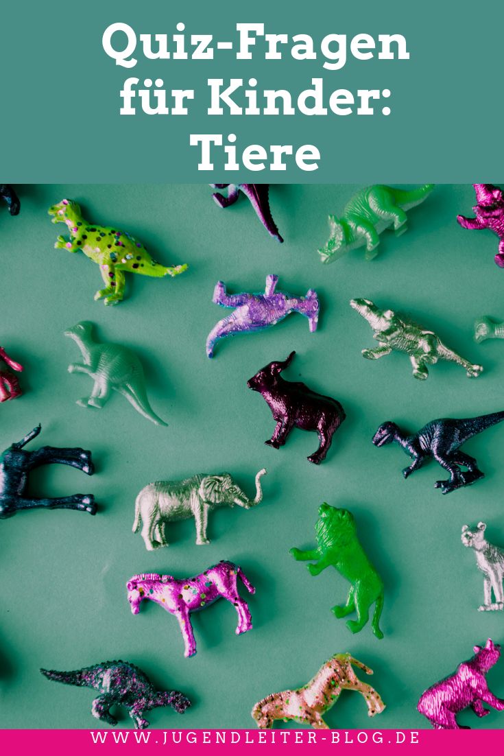 Tierspiele Für Kinder Tierspiele Für Kinder