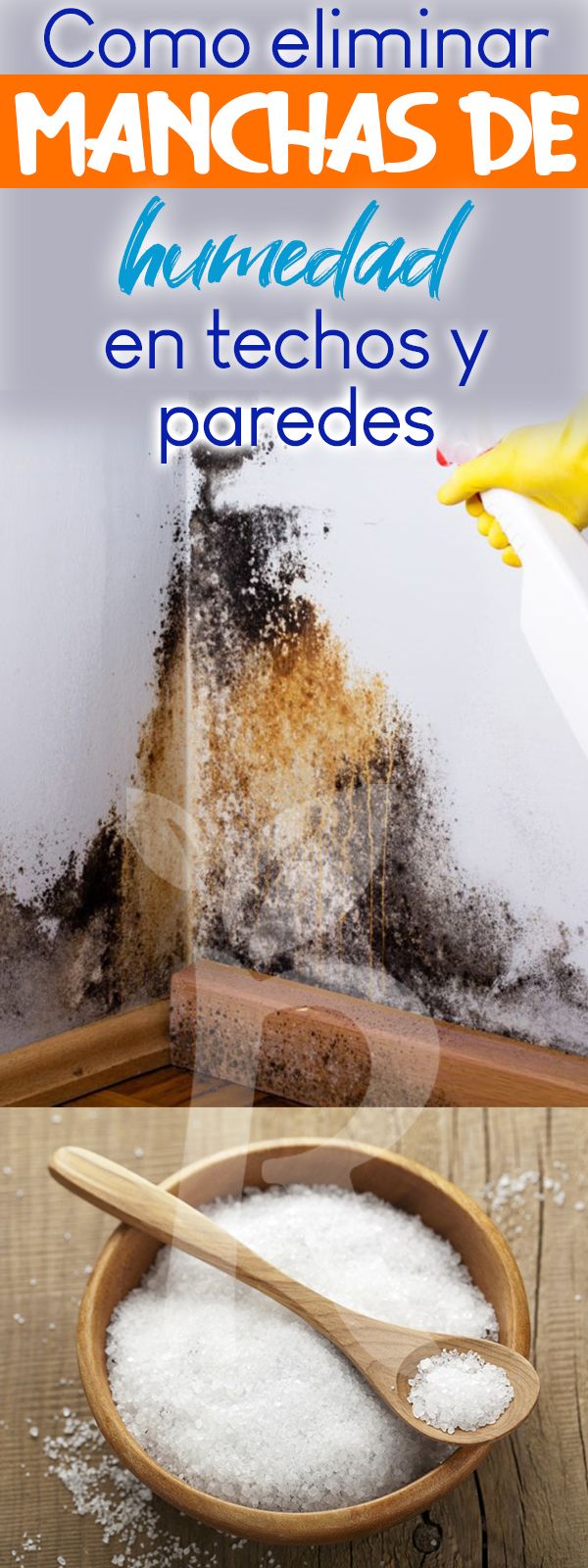 Como Quitar Manchas De Humedad En La Pared