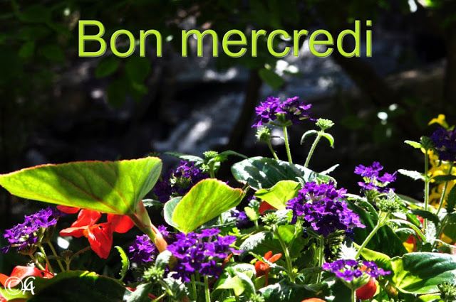 Epingle Sur E Cards Epingle Sur E Cards
