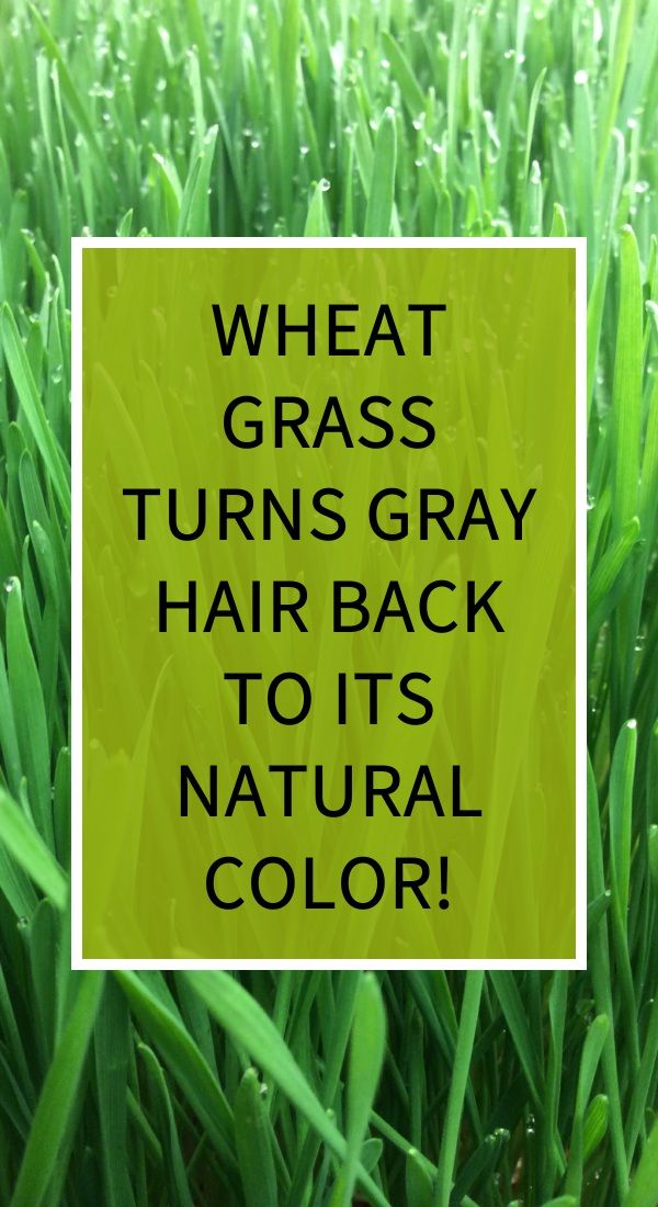 Organic Wheatgrass Powder Organic Multi Vitamin Chlorophyll Alkalize Detox Increase Energy Reduce Grey Hair How To Increase Energy Wheat Grass Natural Anti Aging Skin Care