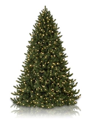best 25 artificial christmas tree sale ideas on pinterest best 25 artificial christmas tree sale ideas on pinterest