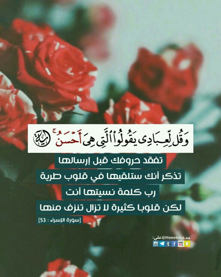 Pin By وردة الياسمين On اية ومعنى Islamic Quotes Quran Book Quran Quotes