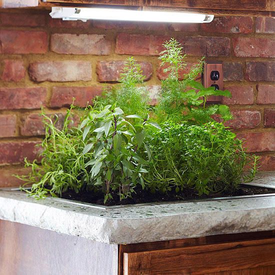download free grow lights for indoor plants download free grow lights for indoor plants