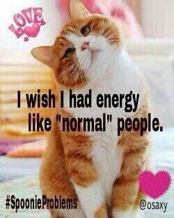 302 best chronic illness memes images on pinterest chronic pain 6378b29e21fd092f4e4dd6b977dd8e56 fibromyalgia pain chronic pain 302 best chronic illness memes images on pinterest chronic pain,Chronic Illness Cat Meme