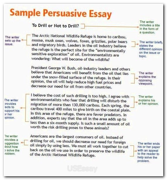 sat essay themes
