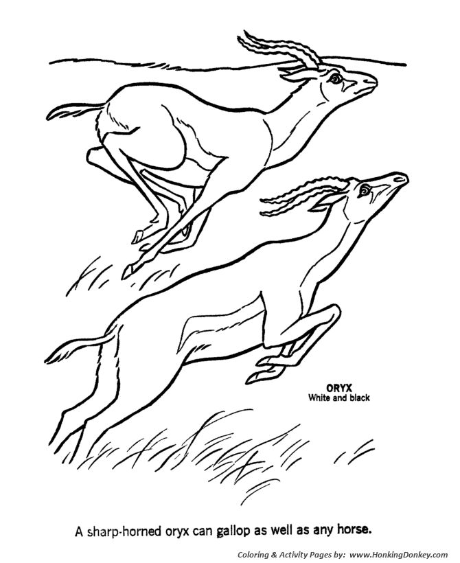 Download Wild animal coloring page | Oryx Coloring page | Coloring ...