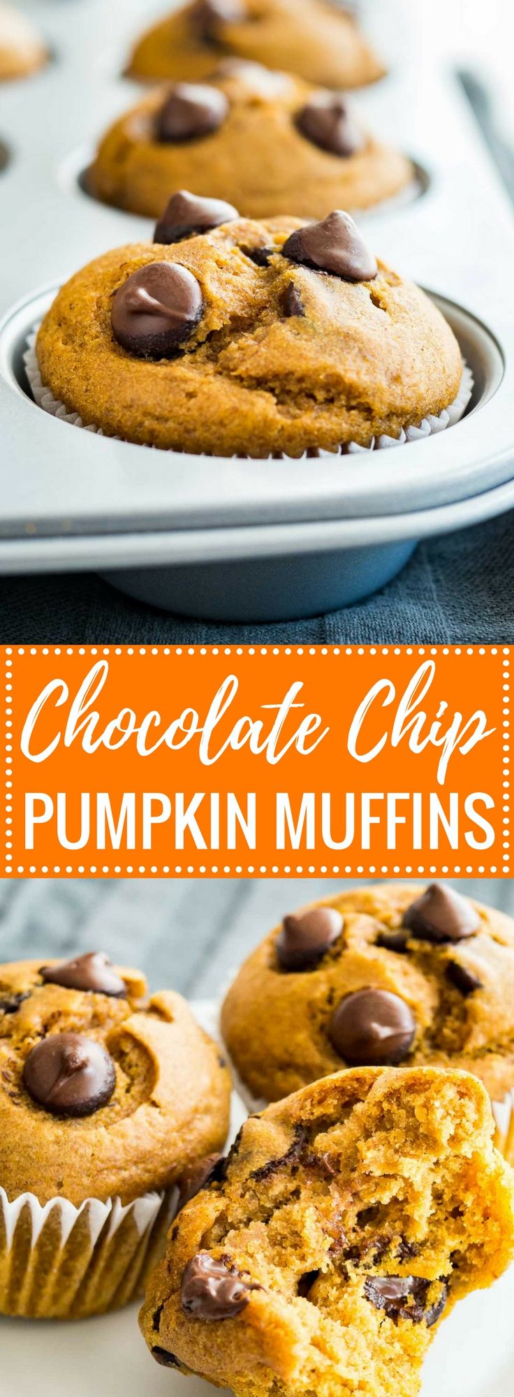 Great Harvest Pumpkin Chocolate Chip Muffins Recipe Great Harvest Pumpkin Chocolate Chip Muffins Recipe