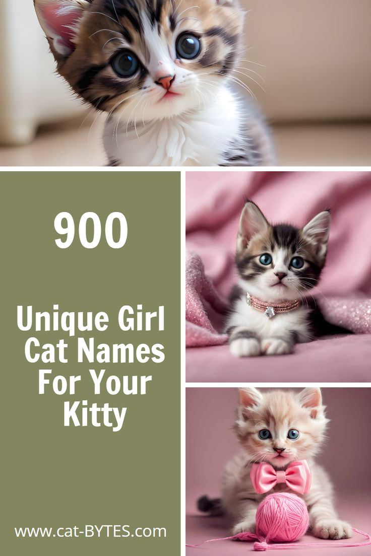 900 Unique Girl Cat Names For Your Kitten In 2024 Girl Cat Names 900-unique-girl-cat-names-for-your-kitten-in-2024-girl-cat-names