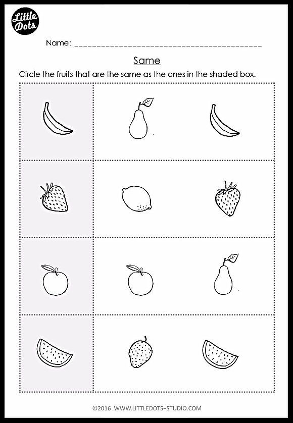 Same And Different Worksheets For Preschool Free Download Free Preschool Printables Preschool Worksheets Printable Preschool Worksheets