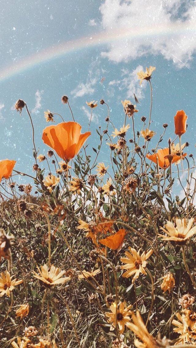 some flowers and a rainbow in the sky