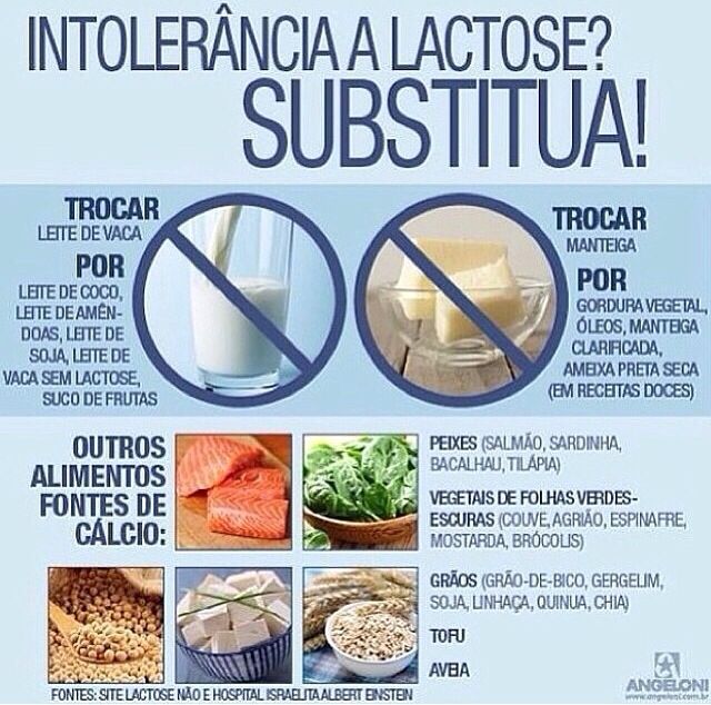 Receitas Para Celiacos + Intolerantes A Lactose Pdf Intolerantes lactose | Intolerância à lactose, Receitas, Receitas sem
